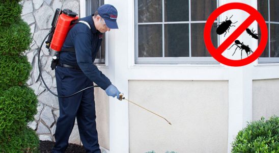 Altındağ Hamam Böceği İlaçlama böcek ilaçlama ve haşere kontrolü — ilaclama-tr.com